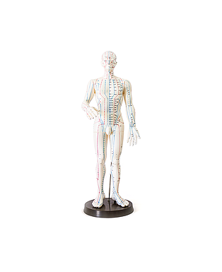 Cuerpo hombre acupuntura