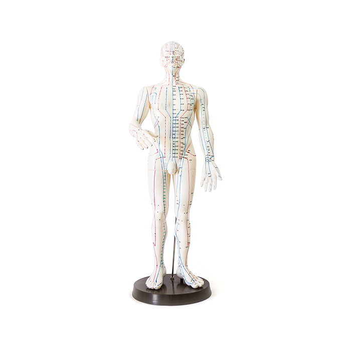 Cuerpo hombre acupuntura