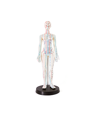 Cuerpo mujer acupuntura