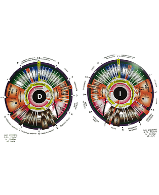 Lamina de Iridología