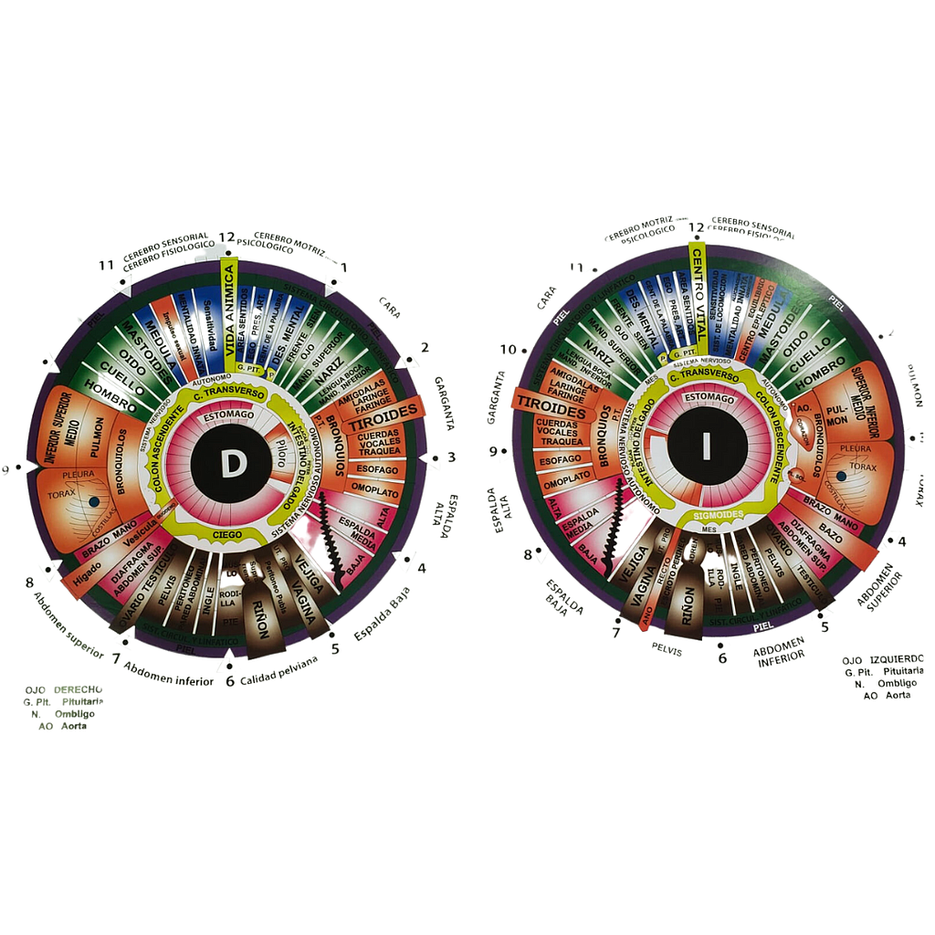 Lamina de Iridología
