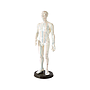 Cuerpo hombre acupuntura
