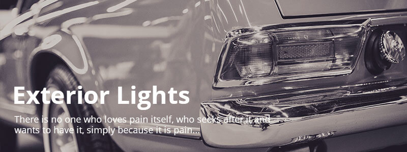 System • Image and Text