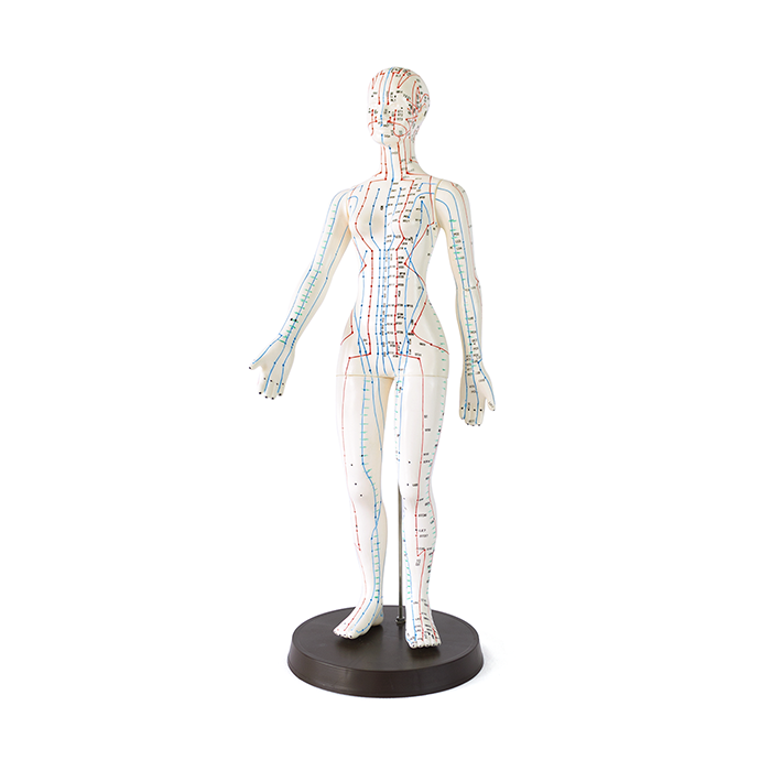 Cuerpo mujer acupuntura