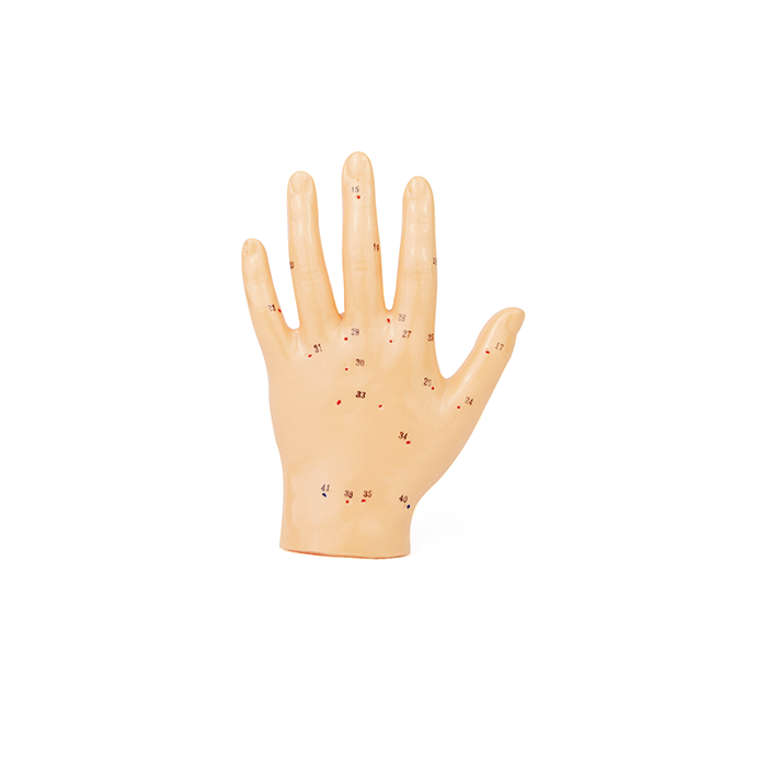 Mano 13cm modelo acupuntura
